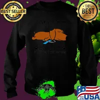 Dachshund I Have Diabetes I Don't Have The Energy To Pretend I Like You Today Cancer Awareness s 17