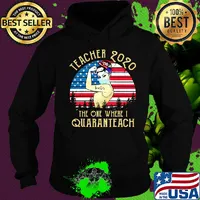 Teacher 2020 the one where i quaranteach american flag vintage s Hoodie