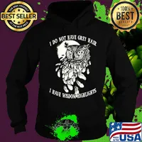 Owl I do not have grey hair I have wisdom highlights s Hoodie