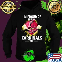 Blood insides i'm proud of being a st. Louis cardinals fan s Hoodie