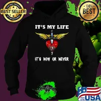 Bon jovi it's my life it's now or never s Hoodie