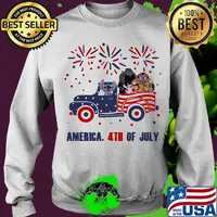 Lilo & stitch characters driving car firework america 4th of july independence day s Sweater