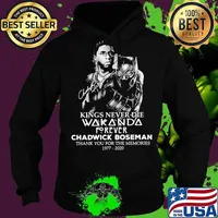 Black panther kings never die wakanda forever rip chadwick Boseman thank you for the memories 1977 2020 signature s Hoodie