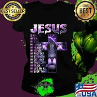 Lion ling jesus is my old my king lord savior healer refuge provider strength defender protector peace joy life all everything s Ladies tee
