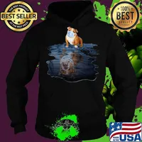 Pug wear mask water reflection s Hoodie