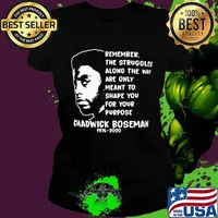 Remember the struggles along the way are only meant to shape you for your purpose rip chadwick 1976 2020 s Ladies tee