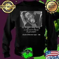 The struggles along the way are only meant to shape you for your purpose rip chadwick black panther 1976 2020 s Sweater
