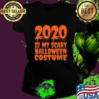 2020 is My Scary Halloween Costume - 2020 Halloween T-Shirt Ladies tee