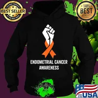 Endometrial Cancer Awareness Peach Ribbon Support Women Gift T-Shirt Hoodie