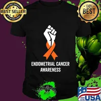 Endometrial Cancer Awareness Peach Ribbon Support Women Gift T-Shirt