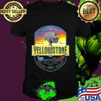 Vintage Retro US Bison Buffalo Yellowstone National Park T-Shirt