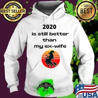 2020 Is Still Better Than My Ex-Wife Witch Halloween Shirt Hoodie