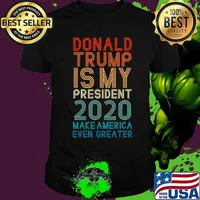 Donald Trump Haters Gonna Hate president 2020 gifts comic T-Shirt