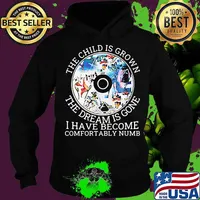 Pink floyd band cd the child is grown the dream is gone and i have become comfortably numb s Hoodie