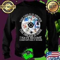 Pink floyd band cd the child is grown the dream is gone and i have become comfortably numb s Sweater