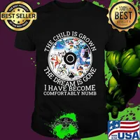Pink floyd band cd the child is grown the dream is gone and i have become comfortably numb shirt