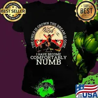Pink floyd band the child is grown the dream is gone and i have become comfortably numb satan s Ladies tee