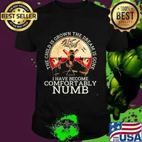 Pink floyd band the child is grown the dream is gone and i have become comfortably numb satan shirt