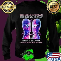Pink floyd band the child is grown the dream is gone and i have become comfortably numb s Sweater