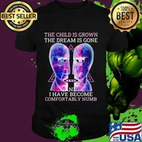 Pink floyd band the child is grown the dream is gone and i have become comfortably numb shirt