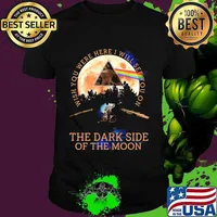 Pink floyd band wish you were here i will see you on the dark side of the moon shirt