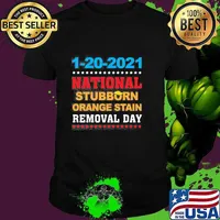January 20th 2021 End Of An Error 2020 National Stubborn Orange Stain Anti Trump Shirt
