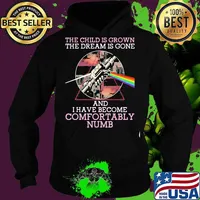 The Child Is Grown The Dream Is Gone I Have Become Comfortably Numb Lgbt Shirt Hoodie