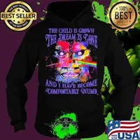 The Child Is Grown The Dream Is Gone I Have Become Comfortably Numb Pink Floyd Shirt Hoodie