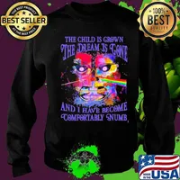 The Child Is Grown The Dream Is Gone I Have Become Comfortably Numb Pink Floyd Shirt Sweater