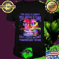 The Child Is Grown The Dream Is Gone I Have Become Comfortably Numb Pink Floyd Shirt