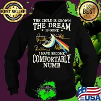 The child is grown the dream is gone i have become comfortably numb pink floyd signatures s Hoodie