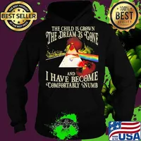 The Wall The The Child Is Grown The Dream Is Gone I Have Become Comfortably Numb Pink Floyd Shirt Hoodie