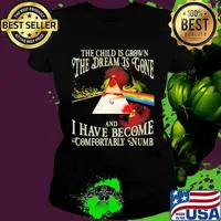 The Wall The The Child Is Grown The Dream Is Gone I Have Become Comfortably Numb Pink Floyd Shirt Ladies tee