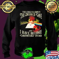The Wall The The Child Is Grown The Dream Is Gone I Have Become Comfortably Numb Pink Floyd Shirt Sweater