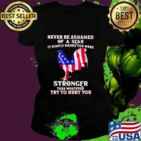 Never Be Ashamed Of A Scar It Simply Means You Were Stronger Than Whatever Try To Hurt You Rooster American Flag Shirt Ladies tee