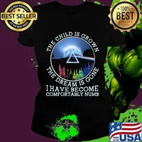 The Child Is Grown The Dream Is Gone I Have Become Comfortably Numb Pink Floyd Lgbt Shirt Ladies tee