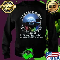 The Child Is Grown The Dream Is Gone I Have Become Comfortably Numb Pink Floyd Lgbt Shirt Sweater