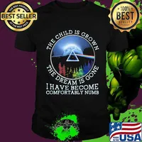The Child Is Grown The Dream Is Gone I Have Become Comfortably Numb Pink Floyd Lgbt Shirt