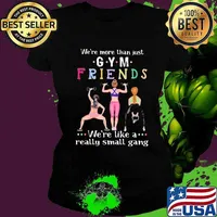 We’re More Than Just Gym Friends We’re Like A Really Small Gang Weight Lifting Shirt Ladies tee