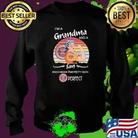 I Am A Grandma And A Illinois Fighting Fan Which Means I Am Pretty Much Perfect Shirt Sweater