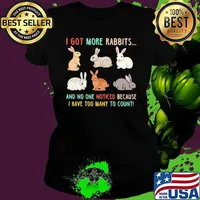 I Got More Rabbits And No One Notice Because I Have Too Many To Count Shirt Ladies tee