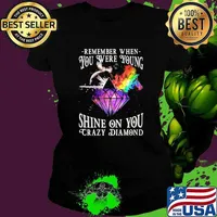 Rememeber when you were young shine on you crazy diamond Dark side Ladies tee