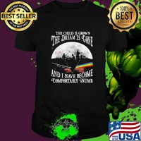 The child is grown the dream is gone and i have become comfortably numb pink floyd moon shirt