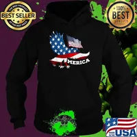 Patriotic Eagle 4th of July USA American Flag Veteran T-Shirt Hoodie