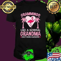 Grammingo for a Like A Grandma Awesome Grandma Only More Awesome T-Shirt