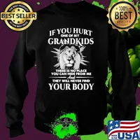 If You Hurt One Of My Grandkids There IS No Place You Can Hide From Me Lion Shirt Sweater