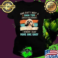 One day i met a shih tzu and in that moment i knew i had more one baby Ladies tee