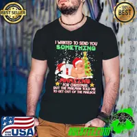 I wanted to send you something amazing for christmas but the mailman told me to get out of the mailbox pig wear hat santa s Guys V Neck