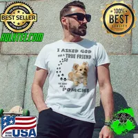 Pomchi Dog Quote Mom, Chimeranian Dad Chi Pom Art Pomahuahua T-shirt