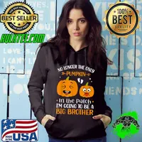 Nice Fall Pumpkin Big Brother Thanksgiving Pregnancy Announcement T Shirt Hoodie